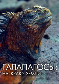 Постер «Галапагосы: На краю земли»