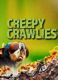 Постер «Пугающие артроподы»