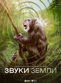 Постер «Звуки Земли»