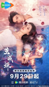 Постер «Спланированная любовь»